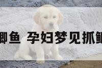 孕妇梦见抓鲫鱼 孕妇梦见抓鲫鱼预示什么