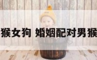 婚姻配对男猴女狗 婚姻配对男猴女狗合适吗