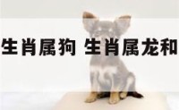 生肖属龙和生肖属狗 生肖属龙和生肖属狗合财吗