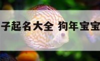 狗年给小孩子起名大全 狗年宝宝小名男孩洋气