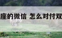 怎样回双子座的微信 怎么对付双子座发微信不回