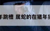 属蛇猪年跳槽 属蛇的在猪年犯太岁吗