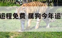 属狗今年运程免费 属狗今年运势2021年每月运势