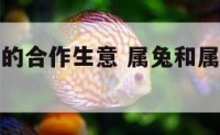 属兔和属龙的合作生意 属兔和属龙的在一起做生意好吗