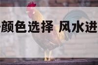 风水进门脚垫颜色选择 风水进门脚垫颜色选择图