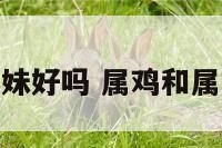 属鸡属狗的兄妹好吗 属鸡和属狗姐弟好不好