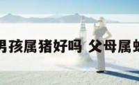 父母属蛇男孩属猪好吗 父母属蛇儿子属猪