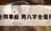 男命八字全阴事业 男八字全是阴什么意思