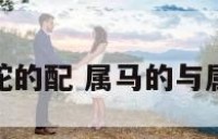 属马的与属蛇的配 属马的与属蛇的配不配