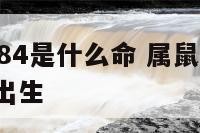 属鼠的1984是什么命 属鼠1984是什么命正月出生