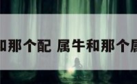 属像牛和那个配 属牛和那个属相相配