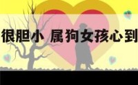 属狗的女生很胆小 属狗女孩心到底有多善良啊
