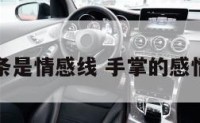 手掌那一条是情感线 手掌的感情线是哪条
