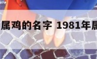 1981年属鸡的名字 1981年属鸡名字有文