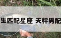 天秤座男生匹配星座 天秤男配对的星座