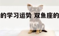 双鱼座今年的学习运势 双鱼座的今年运势怎么样