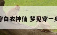 梦见穿白衣神仙 梦见穿一身白衣