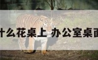 办公室种什么花桌上 办公室桌面养什么花