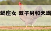 双子男和天蝎座女 双子男和天蝎座女在一起合适吗