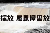 属鼠屋里的摆放 属鼠屋里放什么植物好