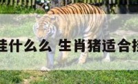 属猪人挂什么么 生肖猪适合挂什么画