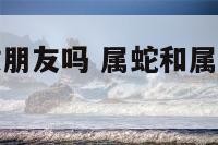 属蛇属狗能做朋友吗 属蛇和属狗能成为朋友吗
