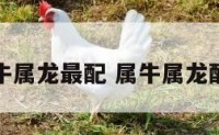 属牛属龙最配 属牛属龙配吗