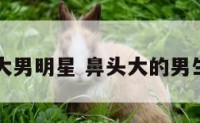 鼻头大男明星 鼻头大的男生面相