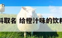 香橙饮料取名 给橙汁味的饮料取名字