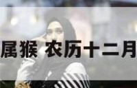 阴历十二月属猴 农历十二月属猴的财运