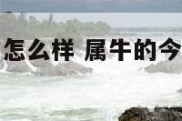 属牛今年工作怎么样 属牛的今年的工作怎么样?