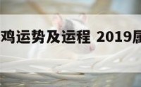 2019属鸡运势及运程 2019属鸡人全年运势