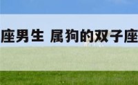 属狗的双子座男生 属狗的双子座男生命运如何
