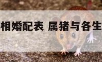 属猪的和属相婚配表 属猪与各生肖的婚配情况