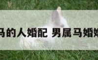 男属马的人婚配 男属马婚姻配对