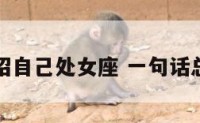 一句话介绍自己处女座 一句话总结处女座