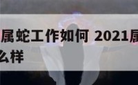 2020年属蛇工作如何 2021属蛇工作运势怎么样