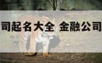 金融公司公司起名大全 金融公司名称大全集最新