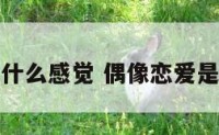 偶像恋爱是什么感觉 偶像恋爱是什么感觉啊