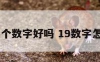 19这个数字好吗 19数字怎么样