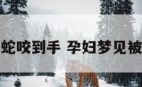 孕妇梦见被蛇咬到手 孕妇梦见被蛇咬到手指