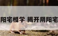 搜索阴阳宅相学 揭开阴阳宅的秘密