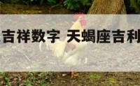 天蝎座永久吉祥数字 天蝎座吉利数字组合的寓意
