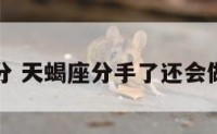 天蝎座分 天蝎座分手了还会做朋友吗