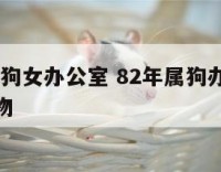 1982属狗女办公室 82年属狗办公室放什么植物