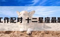 十二星座工作配对 十二星座最配什么工作