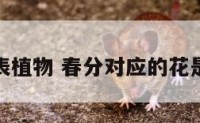春分代表植物 春分对应的花是什么花