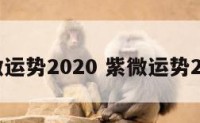 紫微运势2020 紫微运势2025