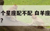 白羊座和哪个星座配不配 白羊座和哪一个星座最配对儿?
