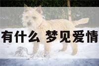梦见爱情有什么 梦见爱情什么意思